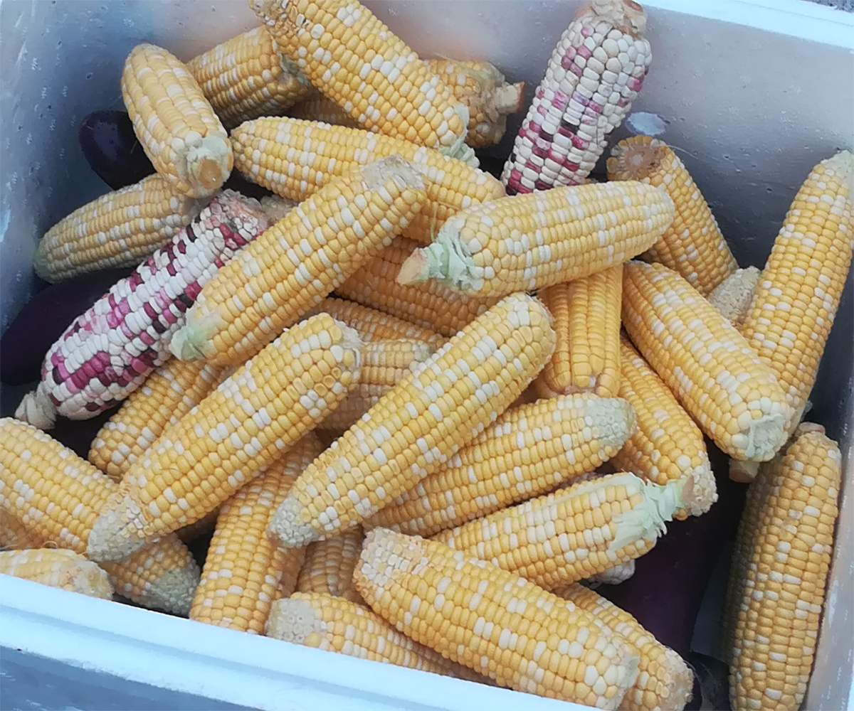 南昆山旅游
南昆山旅游